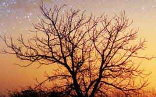 DeFi Token Performance & Investor Trends Post-October Crash: The 2025 Data Reality