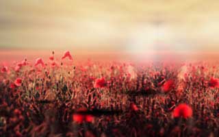 Hyundai: The Future of Its Innovative Lineup