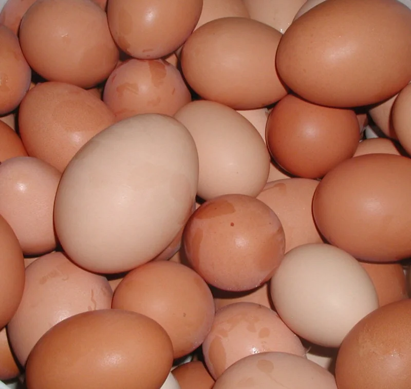 Egg Recall Issued: Salmonella Risk, Affected Brands, and Lot Numbers to Check